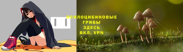 трава Бугульма