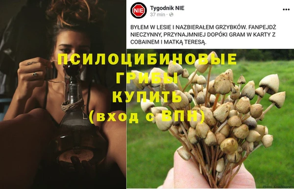 ГАЛЛЮЦИНОГЕННЫЕ ГРИБЫ Зеленодольск