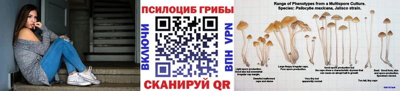 Галлюциногенные грибы Psilocybine cubensis  Тосно 